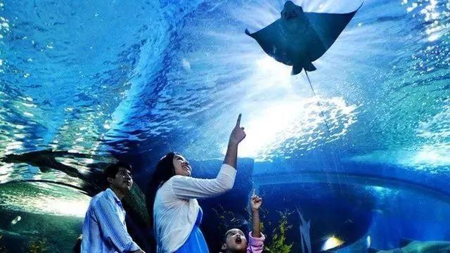 【泰国】老司机开车不走寻常路，私人定制小包团去曼谷