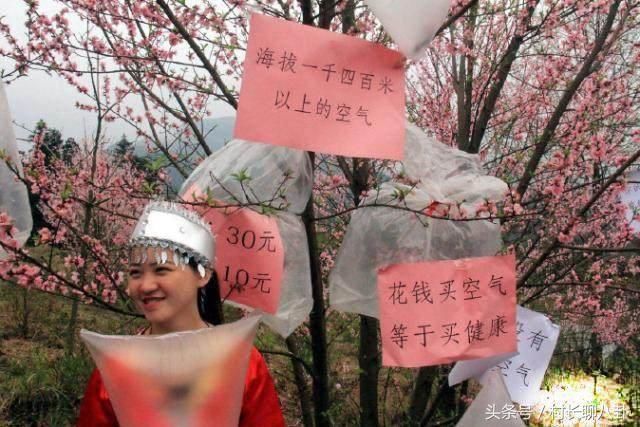 城市人为何羡慕农村人的生活?看完此文后就不再纠结