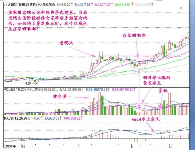 庄家咽喉部一旦消息泄密庄家必死无疑！