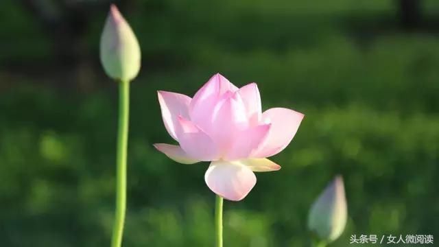 人不管几岁,必须记住的10句话