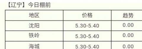 毛鸡行情今日价格毛鸡还会涨吗