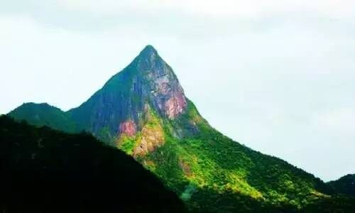 中国最美的森林，你最想去哪一个？