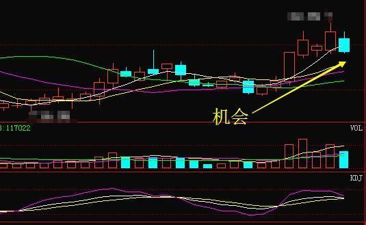 郑州一女教授说破股市：成交量黄金口诀，句句实用，堪称金玉良言