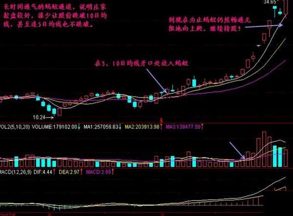 老股民醉酒后自曝选股买卖技巧，千万散户终于可以打破亏损魔咒了