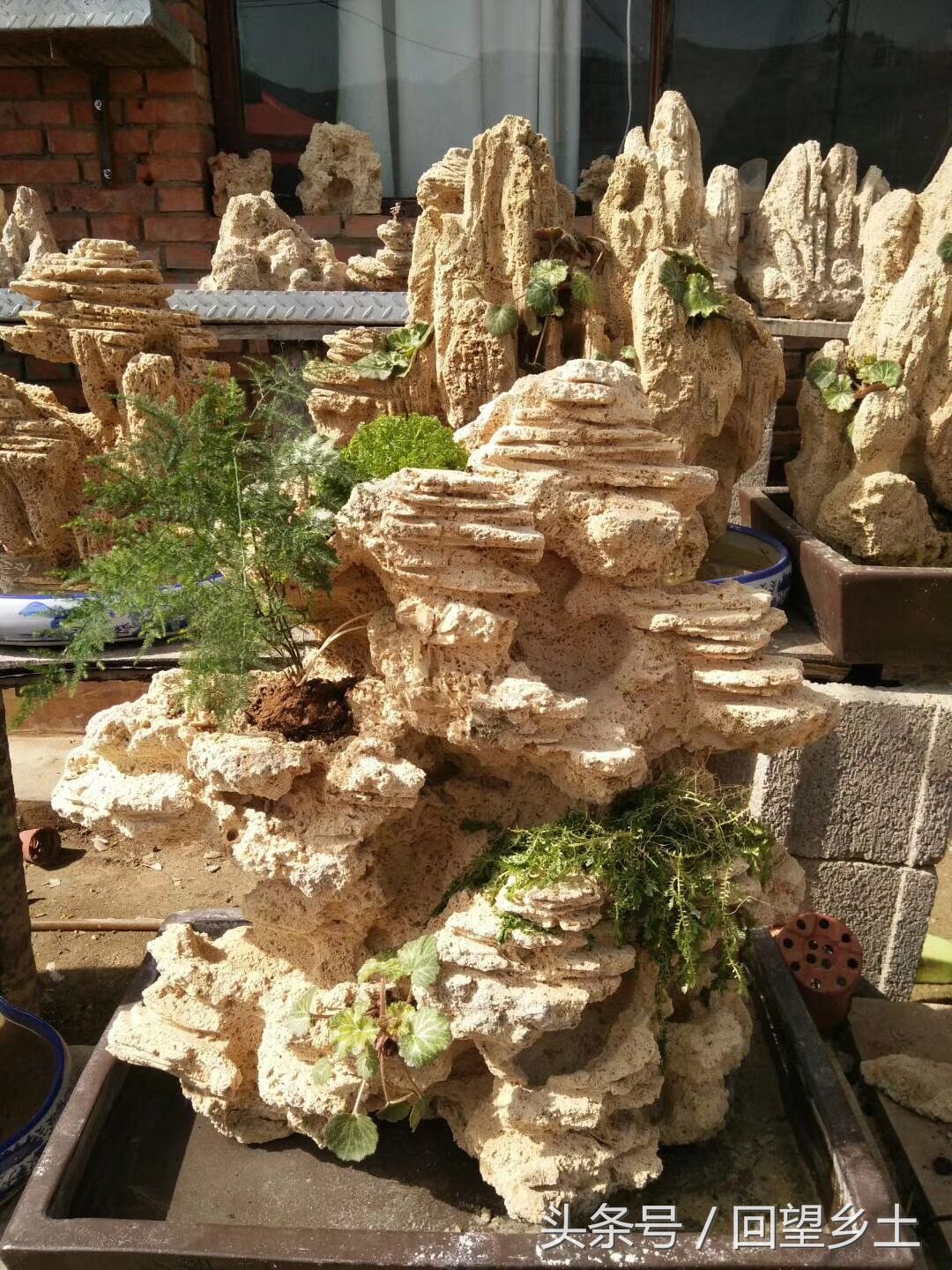 豫西卢氏山区有种石头叫上水石稍加雕琢就是一件盆景作品喜欢吗?