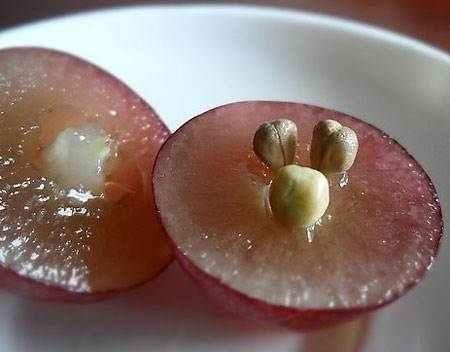 睡前脸上擦一点,一周一次皮肤白里透红,斑点皱