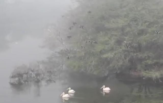 印度的北部地区，看上去就是乡村档次，却是印度旅游胜地之一