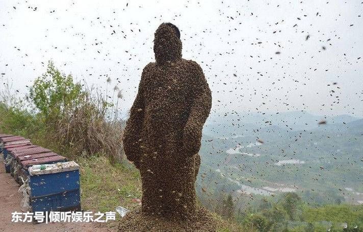 男子抓住蜂王，遭到几十万只蜜蜂围攻！但是结果让人惊讶