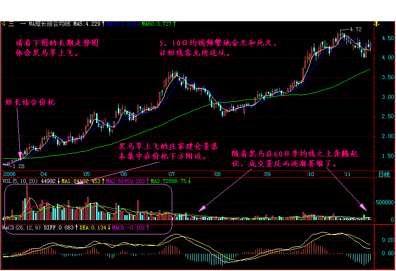 中国股市闹出大乌龙，坠落神坛粉身碎骨，大量亏损散户割肉离场