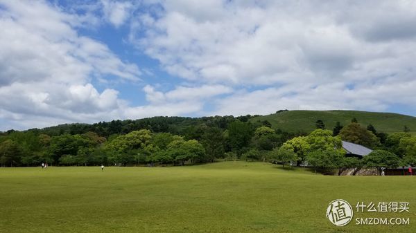 带着蘑菇去旅行。我们全家二刷日本之旅 篇五:D9-D10 奈良的鹿与