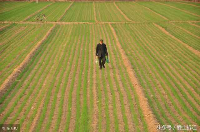 一号文件鼓励农村土地流转，土地转让、转包到底有啥区别？