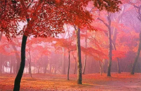 自驾游最美路线之川西风情