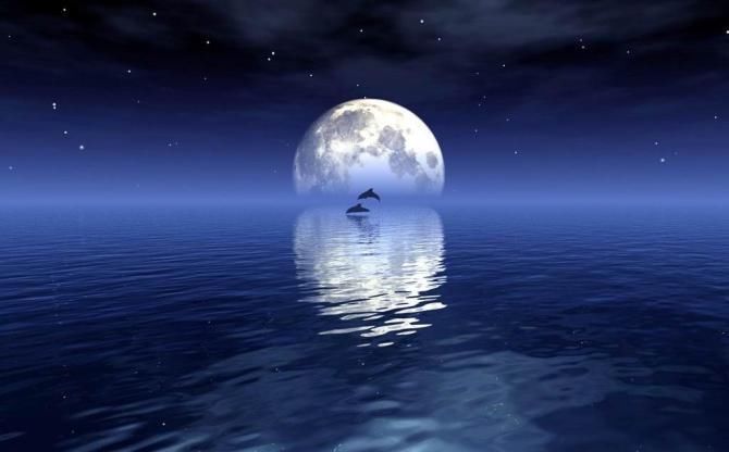 张志春奇门断局精华