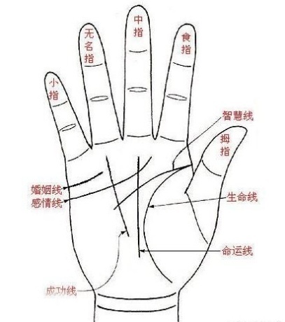 说手相 t0124b593f3cd7b0f71.jpg