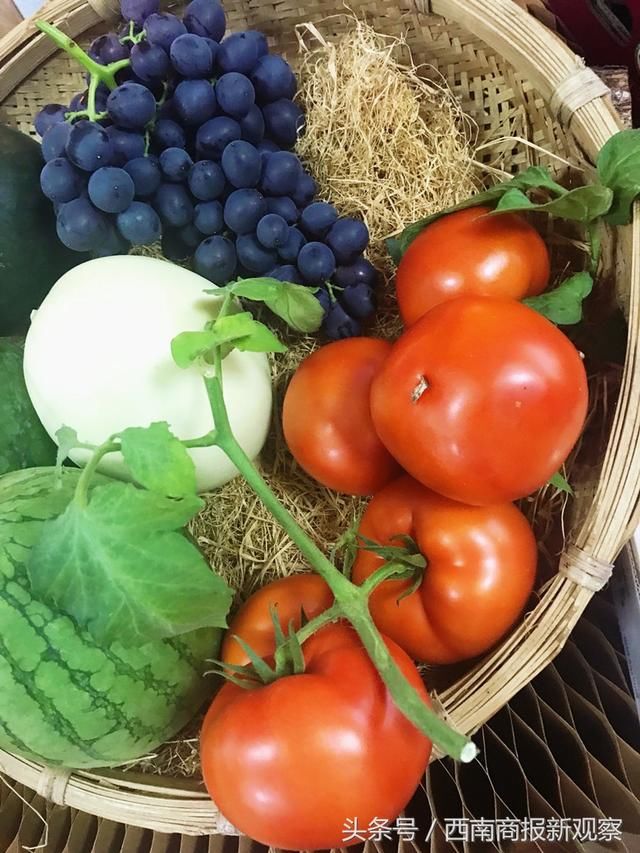 四川大邑县董场镇四川方言文化暨水果采摘节隆