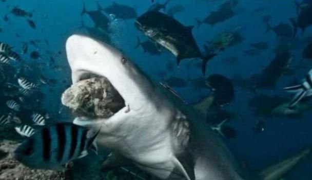 世界上四大“禁止游泳”的景点，一看很美，但知道内情后毛骨悚然