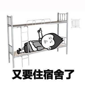 高中专业怎么填