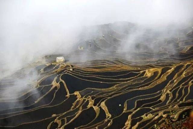 我们到底该怎样与不学佛的家人相处呢？