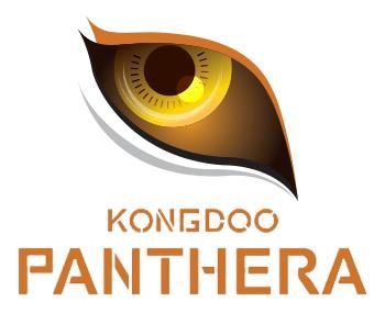守望先锋:韩国OC战队Kongdoo Pathera改名为