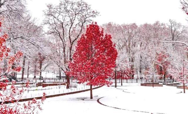 严重激素脸症状怎么治疗与护理?_【快资讯】