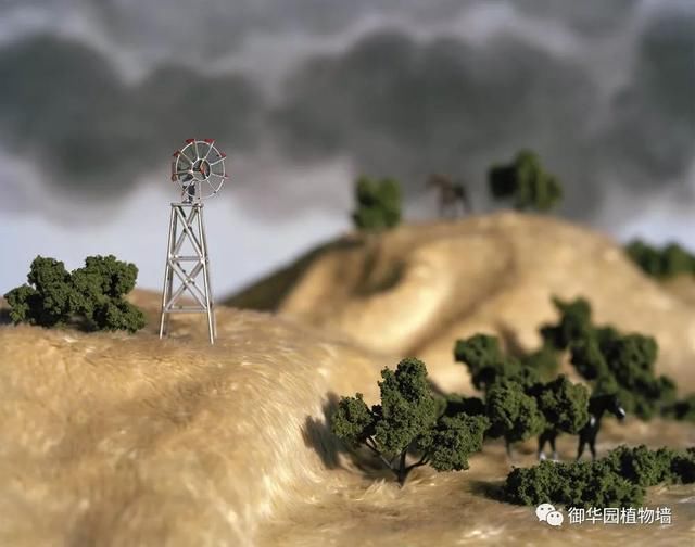 皮毛上的微景观，还原自然之美