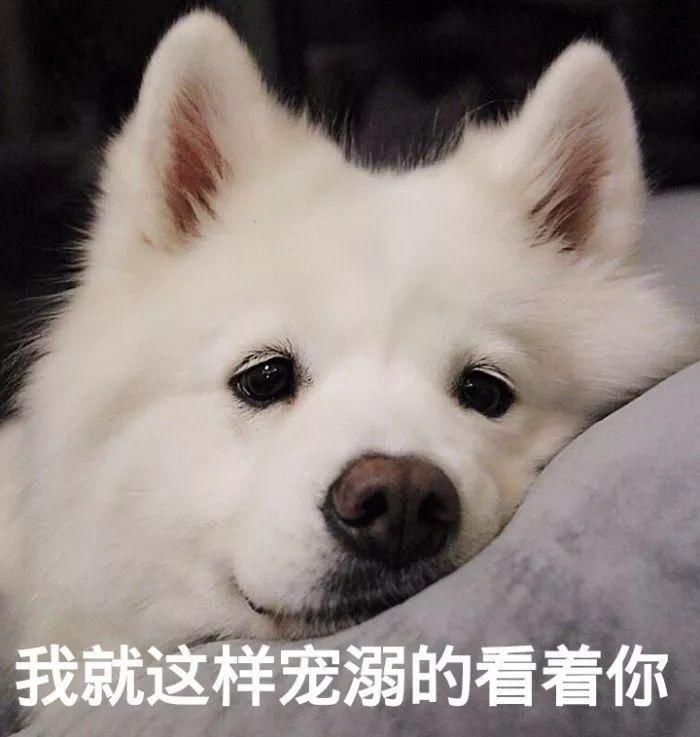 张继科表表景甜,a张继总裁车内高甜探班!网友吻别情包牙齿美白图片