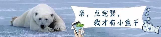 济青高铁迎来新进展！8月或列车试跑！“烟济2小时”，快来了！