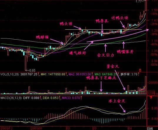 股市战术篇之经典秘籍：老鸭头选股战法，寻找主力的蛛丝马迹