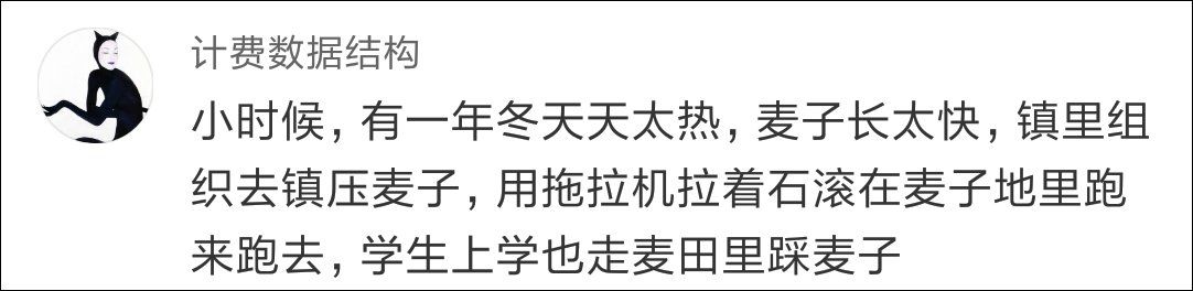 西安蓝田村民用麦田做停车场遭质疑，官方 :不影响小麦生长