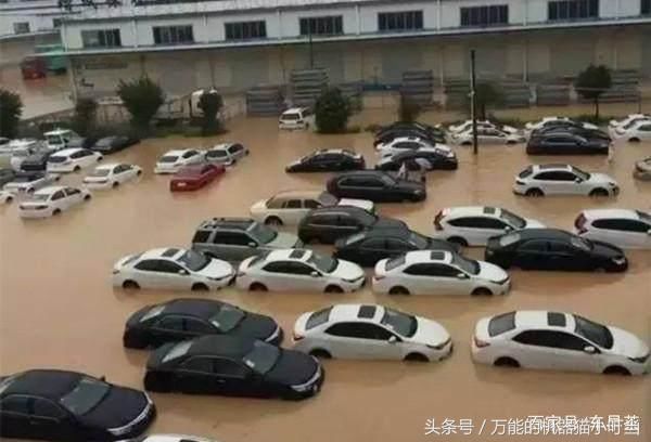 什么情况叫水泡车 t0126e49e6f53ef7460.jpg