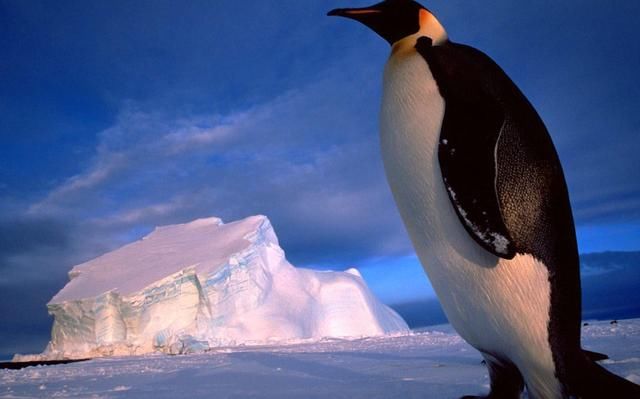 自媒体运营技巧:企鹅号运营方法