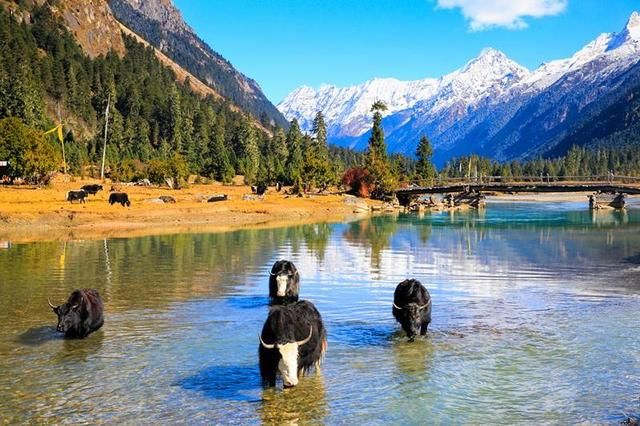 五一川藏线自驾游，需要注意哪些事项？