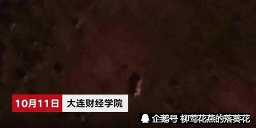 因宠物狗在宿舍床铺便溺,大学生从七楼将其扔