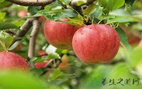 苹果放一个月还能吃吗