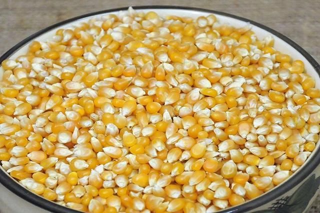 钓鱼麝香底窝料自己在家就能做 想要配方的钓