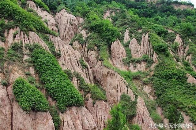 天水有一个地方，山清水秀、满山杏花，却很少有人知道