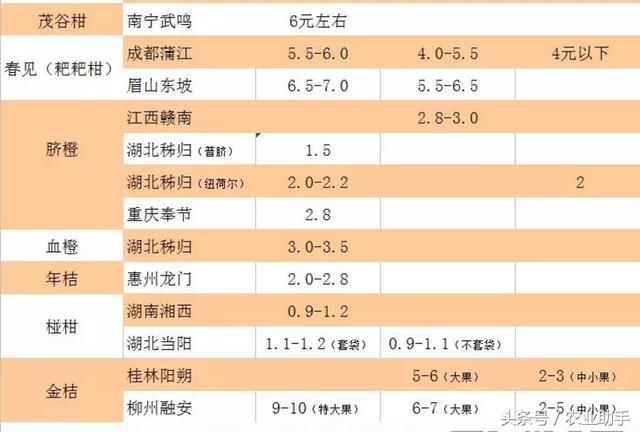 沙糖桔跌至3元以下，走货加快，晚熟品种出货不理想