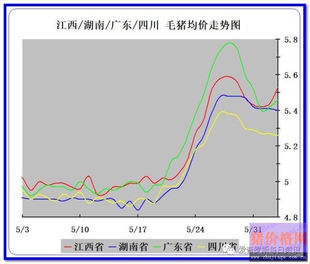 猪价行情小幅度震荡 猪肉市场消费慢慢孕育上涨行情