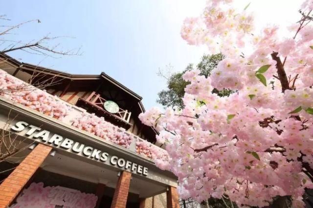 又到阳春三月,你是到日本去赏樱花还是去吃樱花?