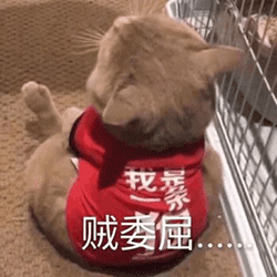 表情包|喵喵:别的小朋友都有零花钱,就我没有! (250x250)