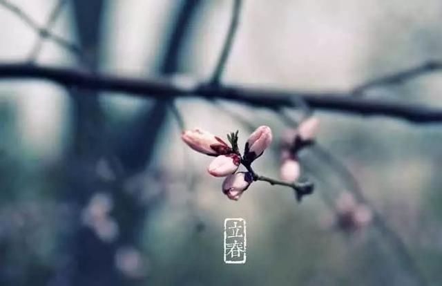 【育儿小课堂】立春后，让宝宝吃出高个子~