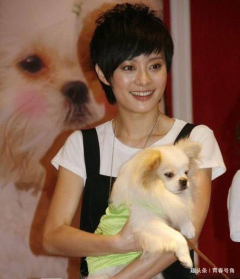 孙俪终于出山了,新剧开机和罗晋郭涛合作,旺财