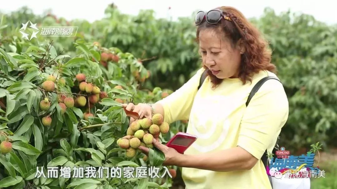 海南旅游三十年静美定安，祥和家园!