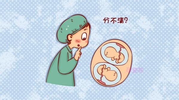 什么时候能看出来是双胎 t0128e43fe9f99b98f2.jpg