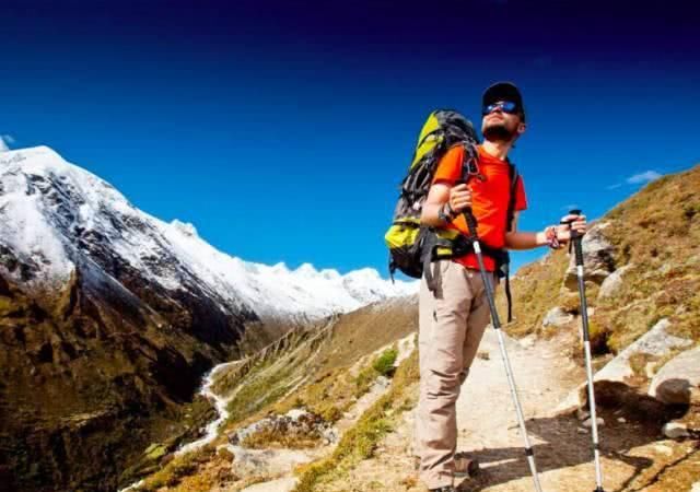 2019年共多少起地震