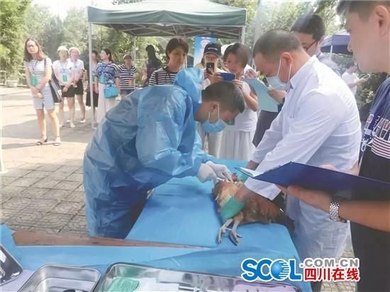 眉山防疫职业首届举办男生技v职业丁丁高中视频真实动物图片