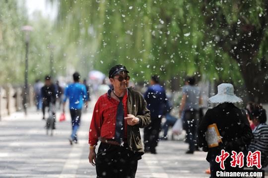 北京今日最高气温26℃ 杨柳飘絮或延续到5月初