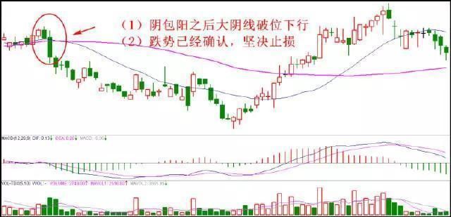 中国股市最大的“股灾”终于落下帷幕，机构从此将处在放大镜之下