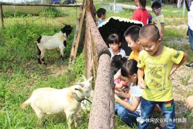 休闲农园销售农产品，设计一套会说话的体验活动才是前题！