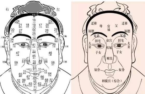 面相解析：到底面相什么部位对人贫富影响最大